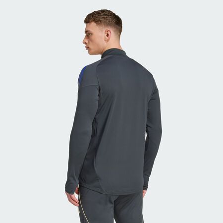 ADIDAS PERFORMANCE Haut d'entraînement Olympique Lyonnais Tiro 25 Competition Carbon / Hazy Beige HOMME