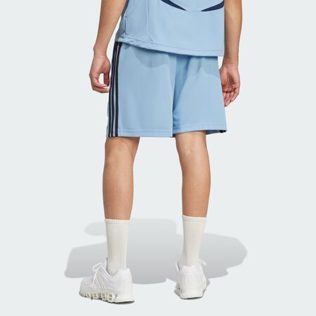 ADIDAS ORIGINALS Shorts Teamgeist Adicolor Ash Blue / Black HOMME